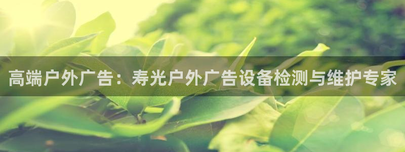 杏宇平台代理怎么赚钱：高端户外广告：寿光