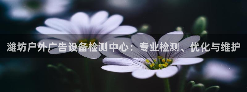 杏宇平台代理多少钱一个：潍坊户外广告设备