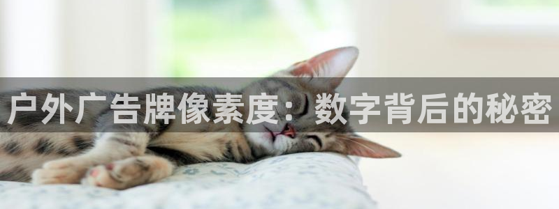 杏宇平台代理怎么赚钱的