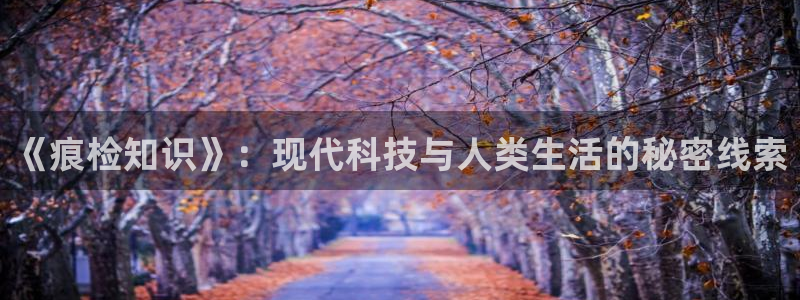 趣书网txt下载全文