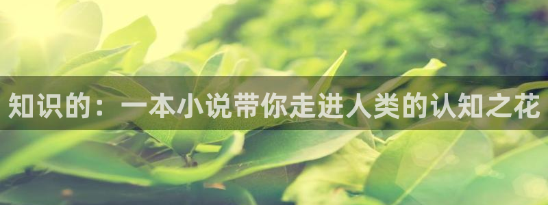 笔趣书阅